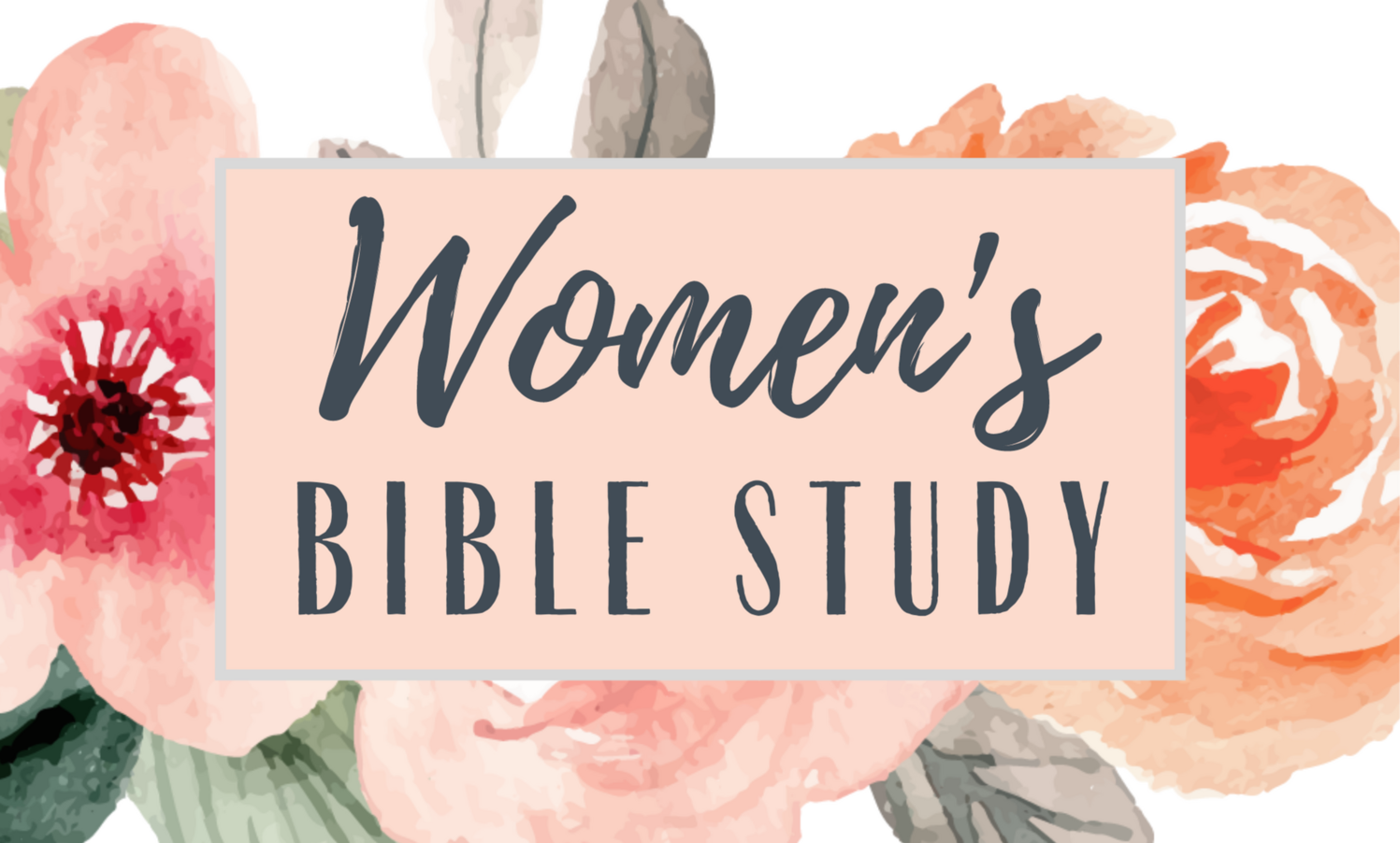Women's Bible study promo